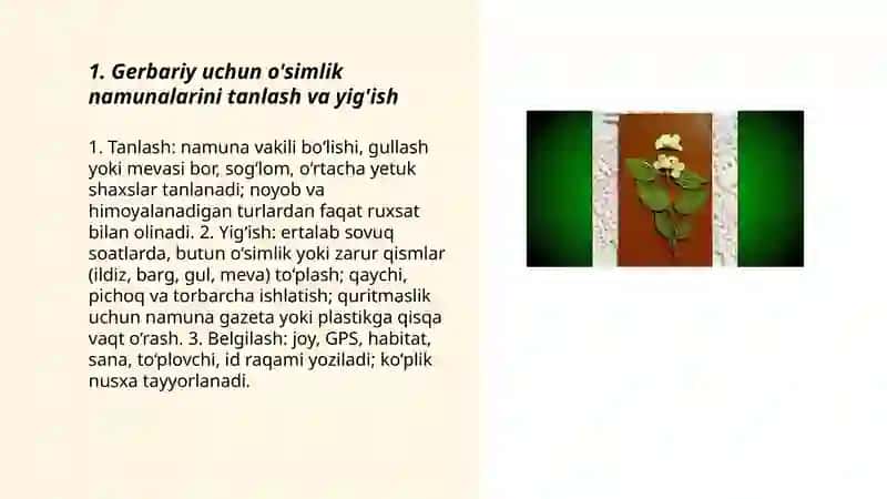 Gerbariy tayyorlash va tayyorlash usullari 3
