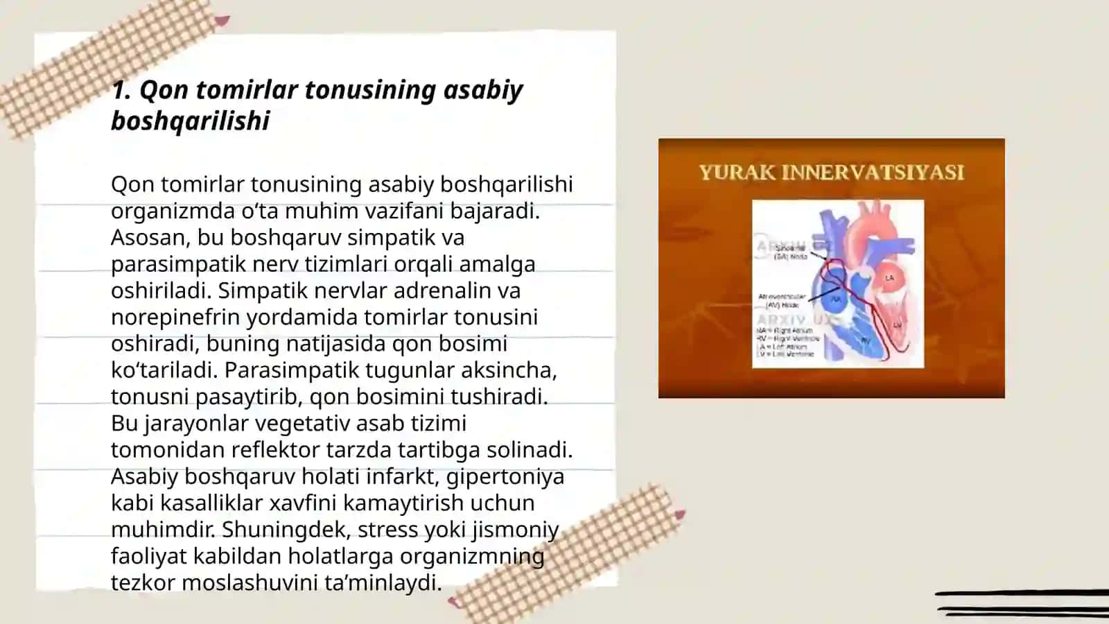 Qon tomirlar tonusining nerv va gumoral boshqarilishi 3
