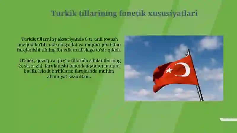 Turkik tillar tasnifidagi fonetik tamoyillar 3