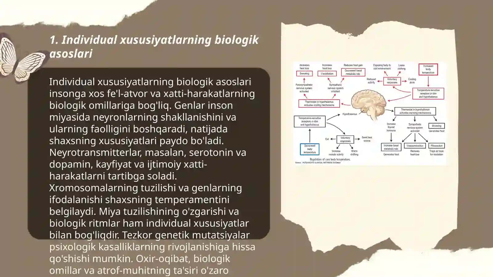 Insonlarni individual xususiyatlari, organizm rezervlari va adaptatsiya 3