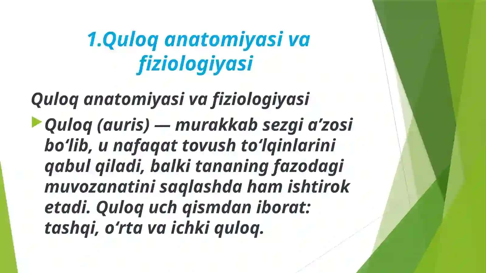 Quloq, burun, tomoq anatomiyasi va fiziologiyasi 3