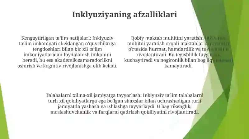 Inklyuziv Ta'lim Mohiyati 3