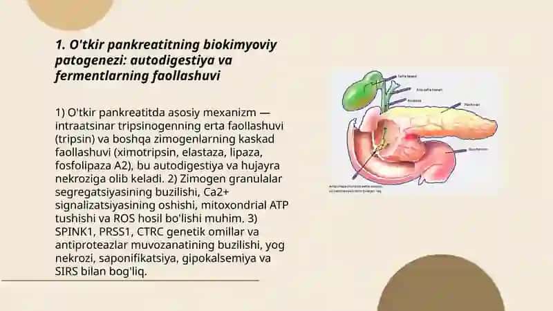 O'tkir pankreatit kelib chiqishi va davolashning biokimyoviy asoslari 3