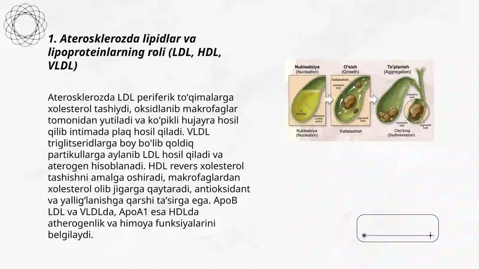 Ateroskleroz rivojlanishining biokimyoviy asoslari. Oʻt-tosh kasalliklari 3