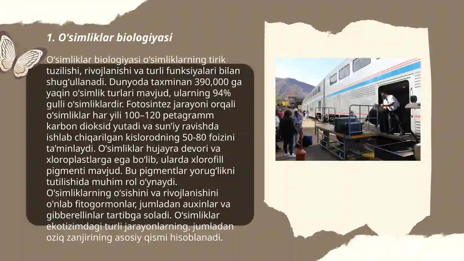 Oʻsimliklar dunyosi 3