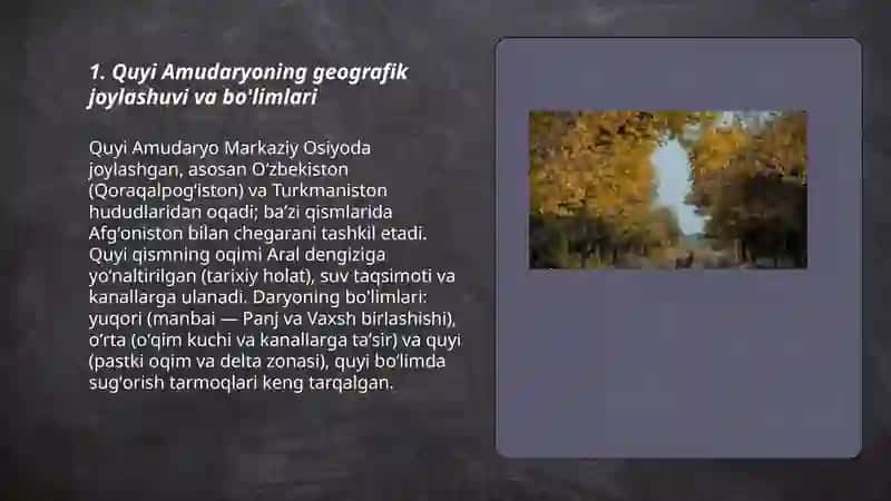 Quyi Amudaryo 3