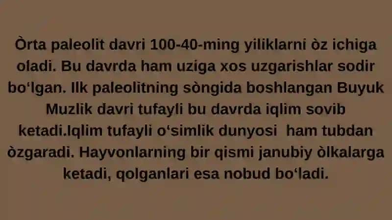 Òrta paleolit davri manzilgohlari 3