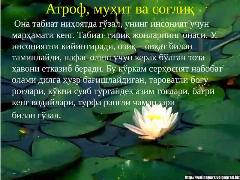 Экология ва соғлиқ 3
