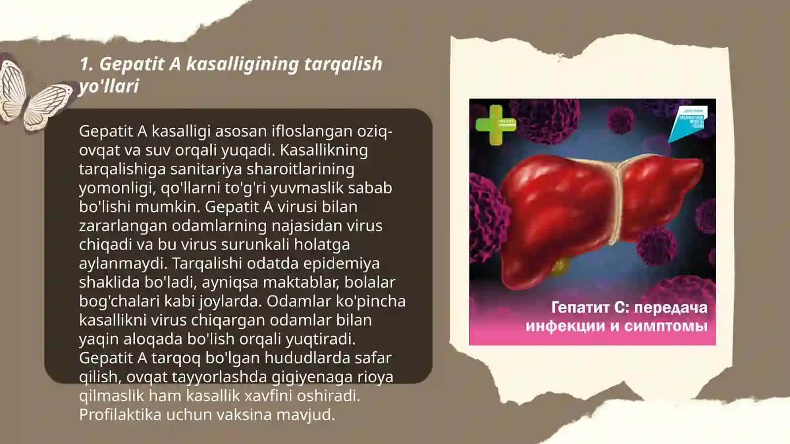 Enteral virusli gepatitlar.Gepatit A kasalligida infeksion nazorat 3