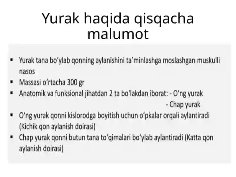 Yurak-qontomir fiziologiyasi 3
