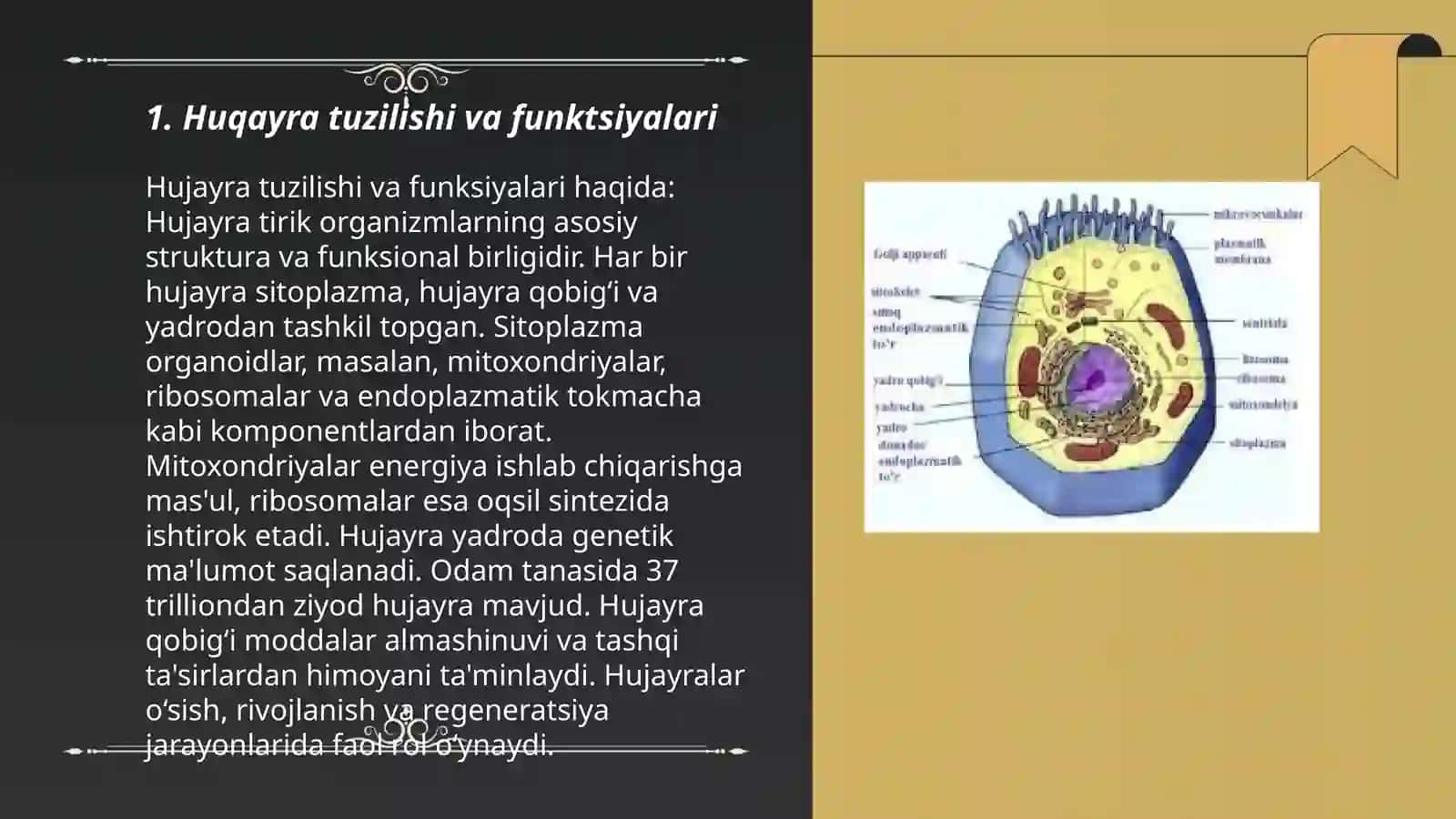 Hujayra biologiyasi.Hayot vairsiyatning molecular asoslari 3