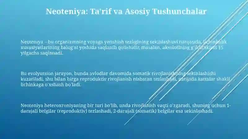 Qobiqlilarning kelib chiqishi va evolyutsiyasi haqidagi o'ylar 3