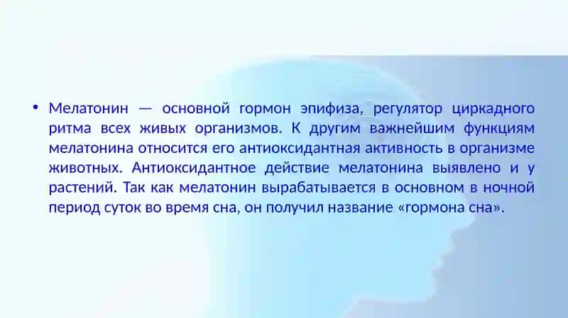 Биологический ритм сон-бодрствование 3