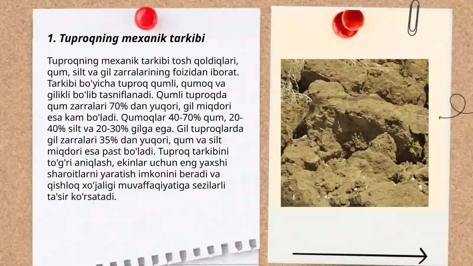 Tuproq strukturasining hosil bo‘lish sharoitlari 3