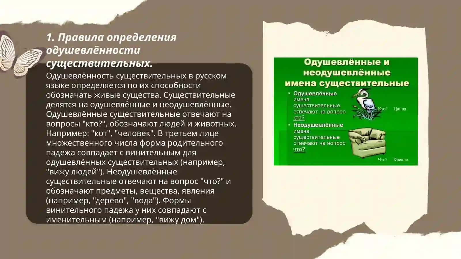 Одушевлённость и неодушевлённость существительных 3