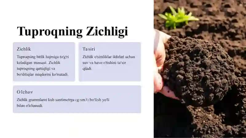 Tuproqning Umumiy Fizikaviy Xossalari va Strukturasi 3