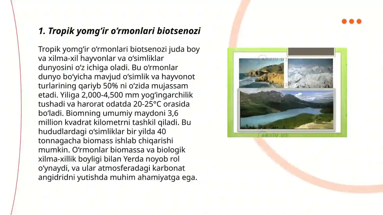Tropik yomg’ir o’rmonlari biotsenozi 3
