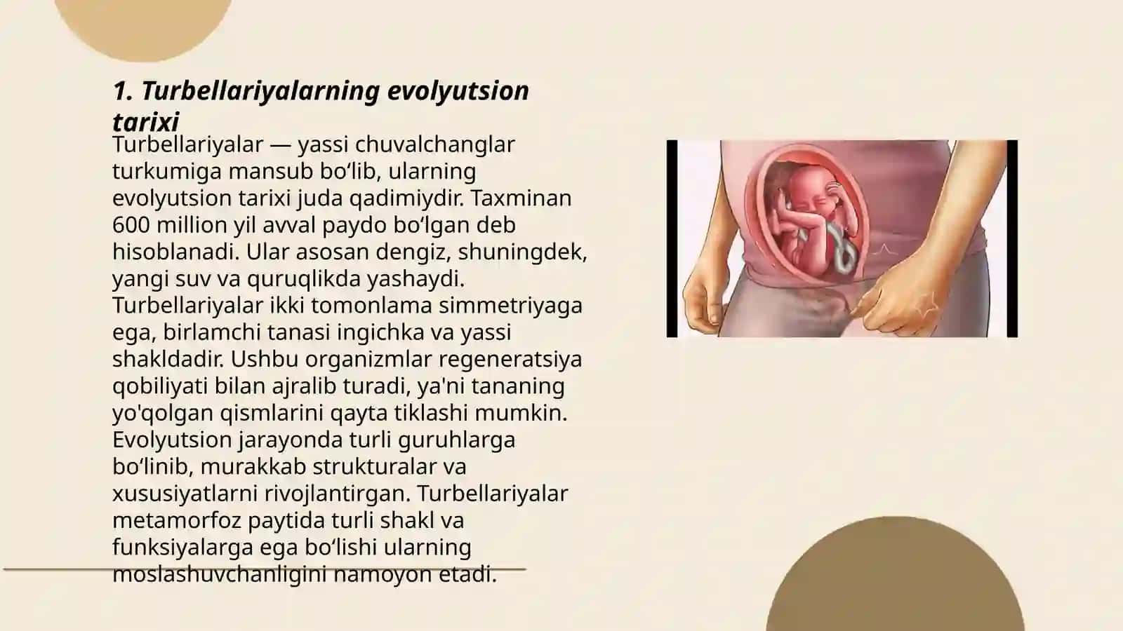 Turbellariyalar felogeniyasi 3