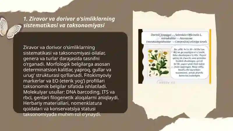 Ziravor dorivor oʻsimliklar ekologiyasi va biologiyasi 3