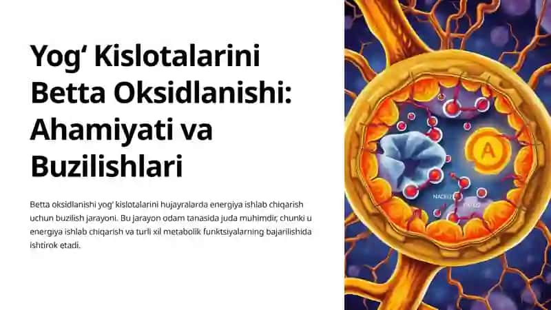 Yogʻ Kislotalarini Betta Oksidlanishi: Ahamiyati va Buzilishlari 3