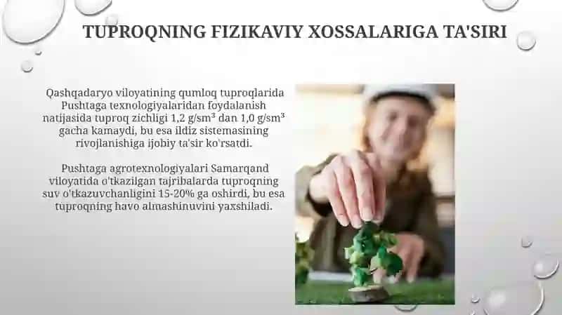 Pushtaga Agrotexnologiyalari 3