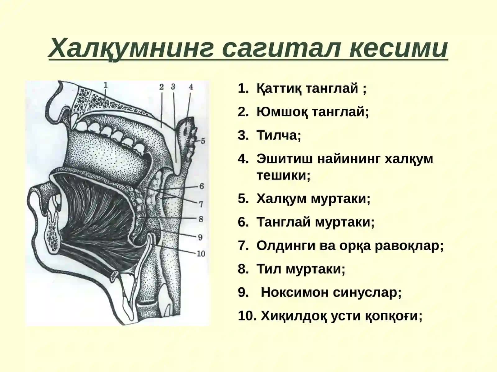 Халкумнинг уткир ва сурункали касалликлари 3