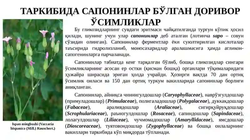 DORIVOR O‘SIMLIKLARNI SAPONINLAR BO‘YICHA ANIQLASH, ANALIZ QILISH VA ULARNING MAHSULOTLARI. 3