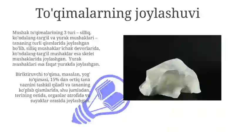To'qimalarni kelib chiqishi va joylashishini tavsiflash 3