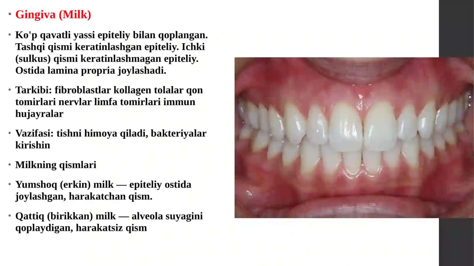 Parodont toʻqima uning tuzilishi va patalogiyalari haqida taqdimot 3