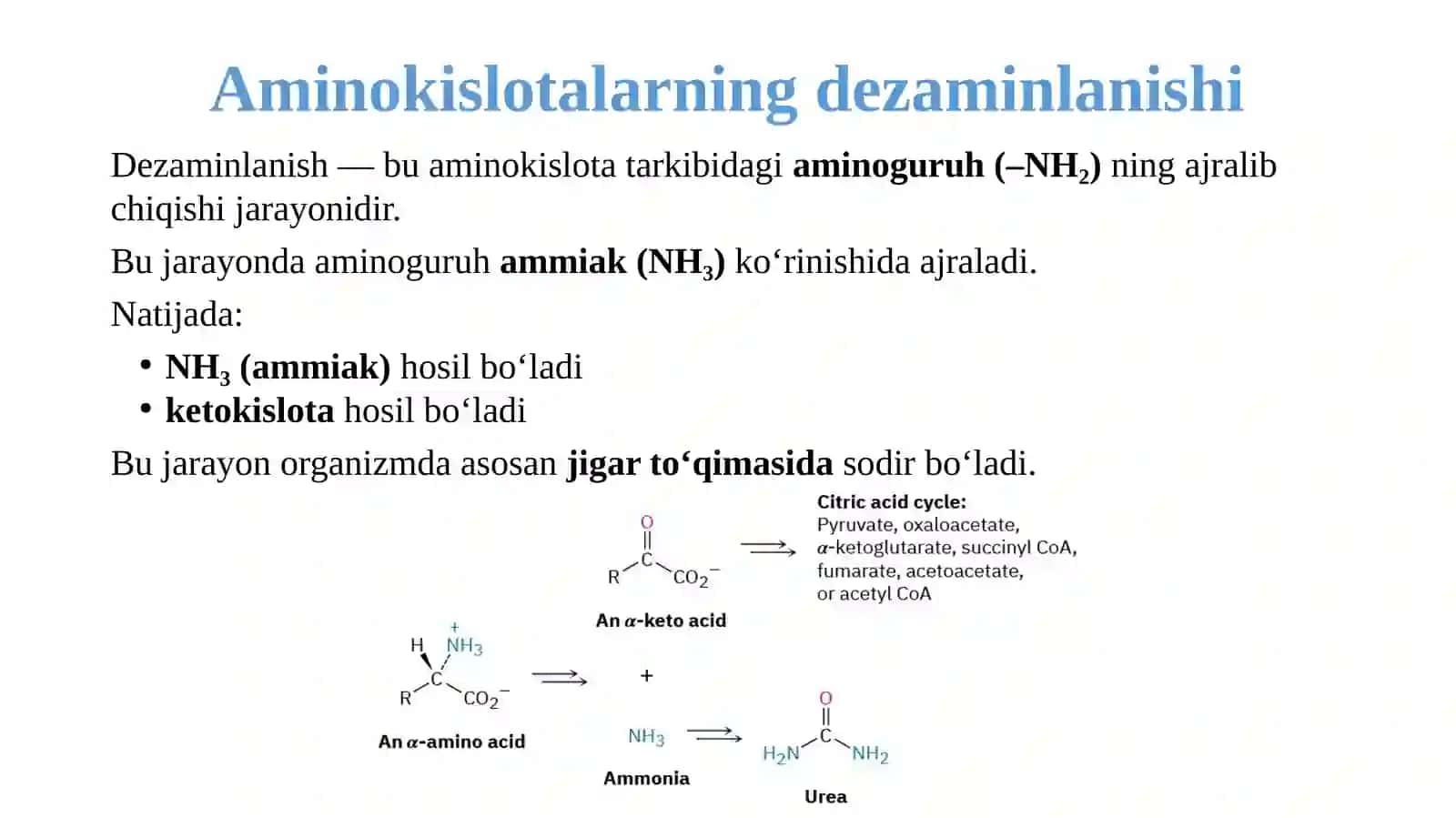 Aminokislotalar katabolizmi va dezaminlanish jarayonlari: biokimyoviy mexanizmlar va klinik ahamiyati 3