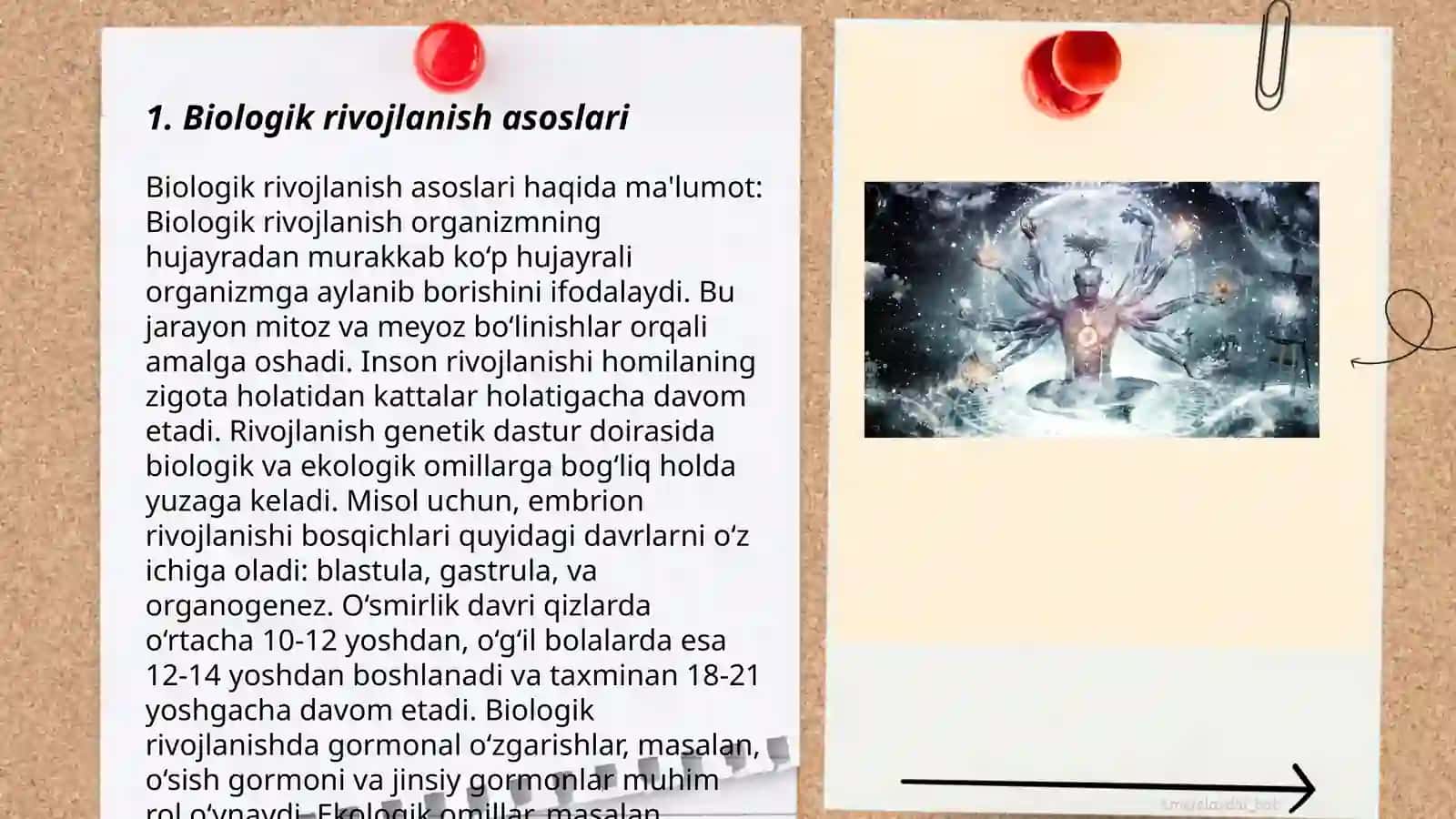 Inson psixikasini ontogenezda rivojlanishi 3
