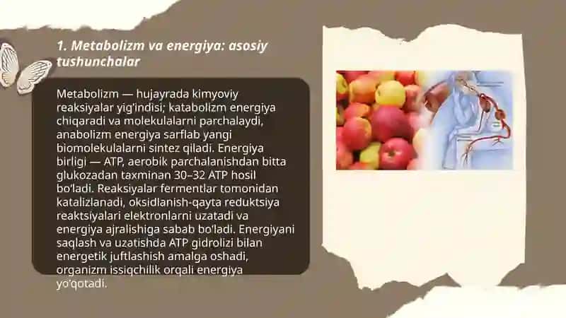 Metabolizm jarayonida energiya xosil bo'lishi va sarflanishi 3