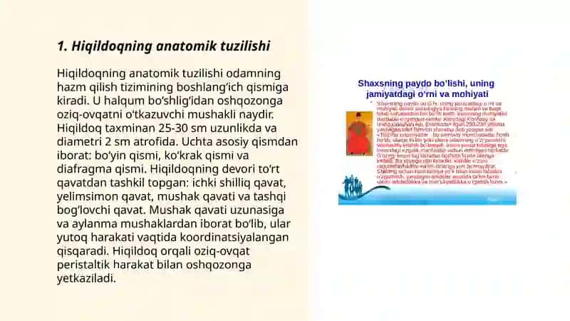 Hiqildoqning anatomik tuzilishi 3