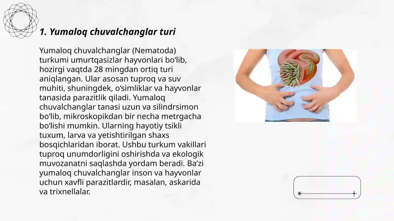 Yumaloq chuvalchanglar: askarida, ostritsa, filyariya, trixinella, egri( qiyshiq) boshli gijja, rishta, qil boshli gijja, Ovogelmintoskopiya usullari, Devastasiya 3