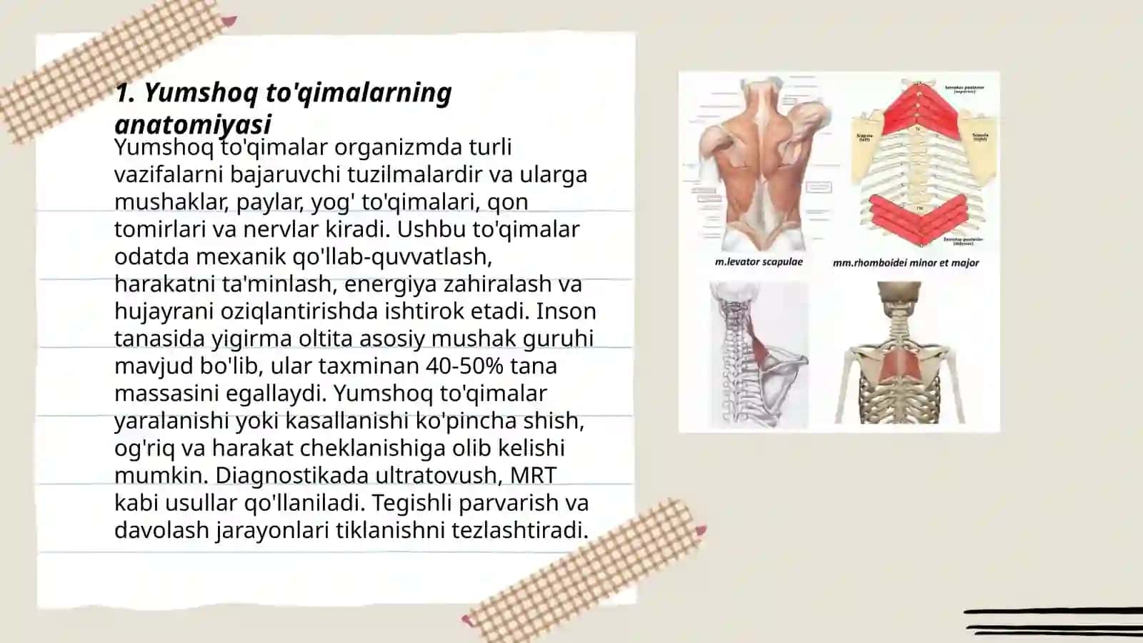 Orqaning yumshoq toqimalari yuzaki toqimalari 3