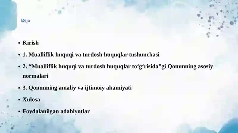 "Mualliflik huquqlari to'shka" 3