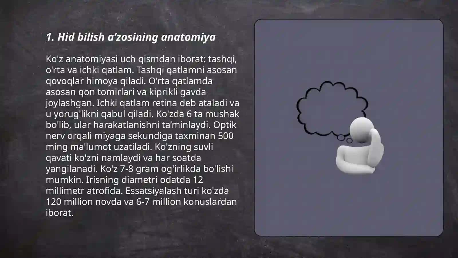 Hid bilish aʼzosi gistologiyasi 3