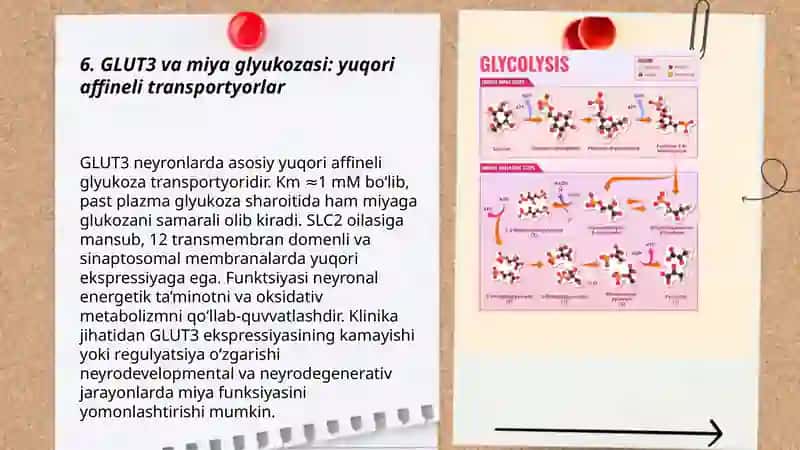 Glyukozani membrana orqali o'tkazilishi 3