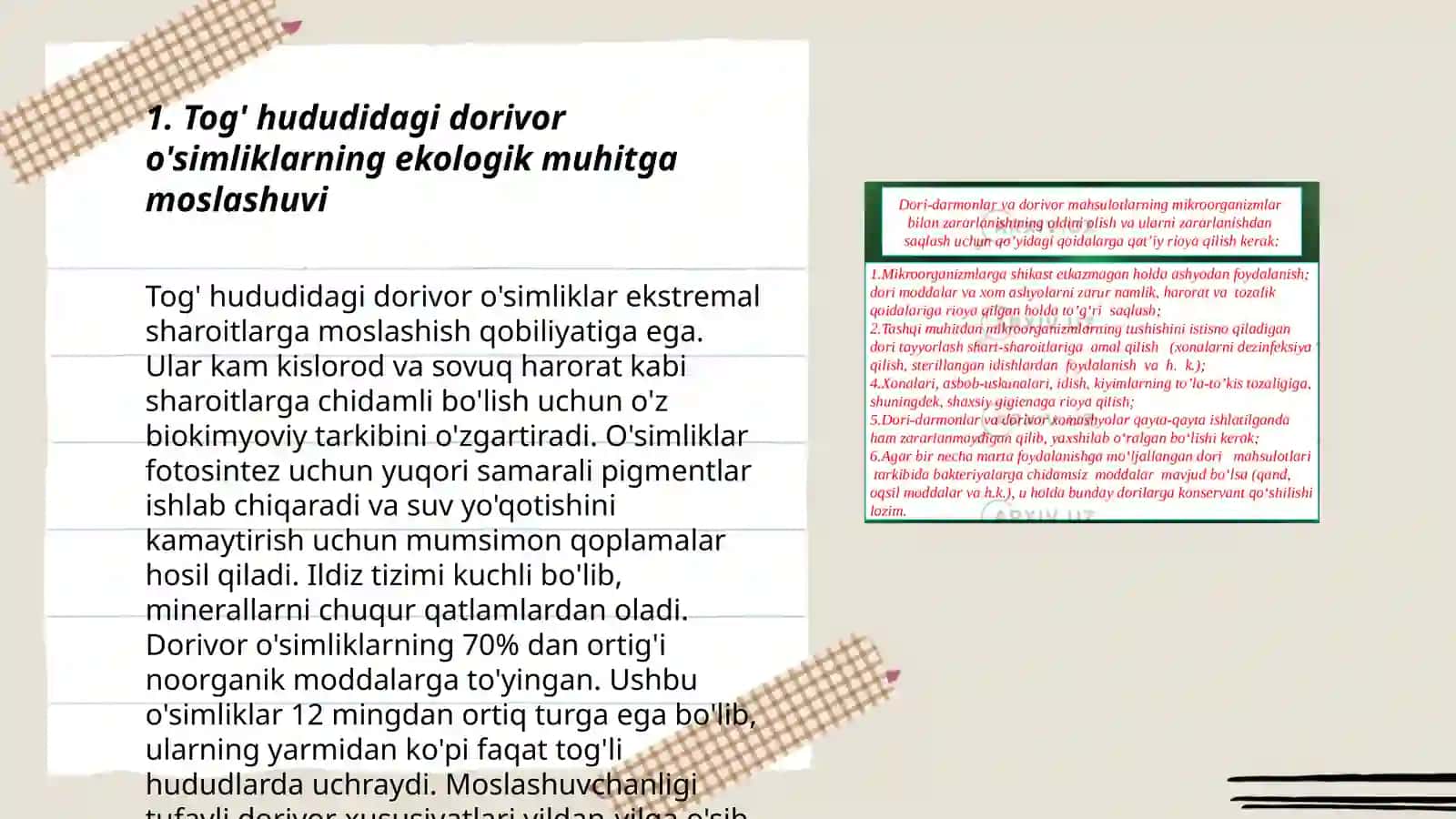 Tog' hududida o'suvchi dorivor o'simliklarni bioekologiyasi 3