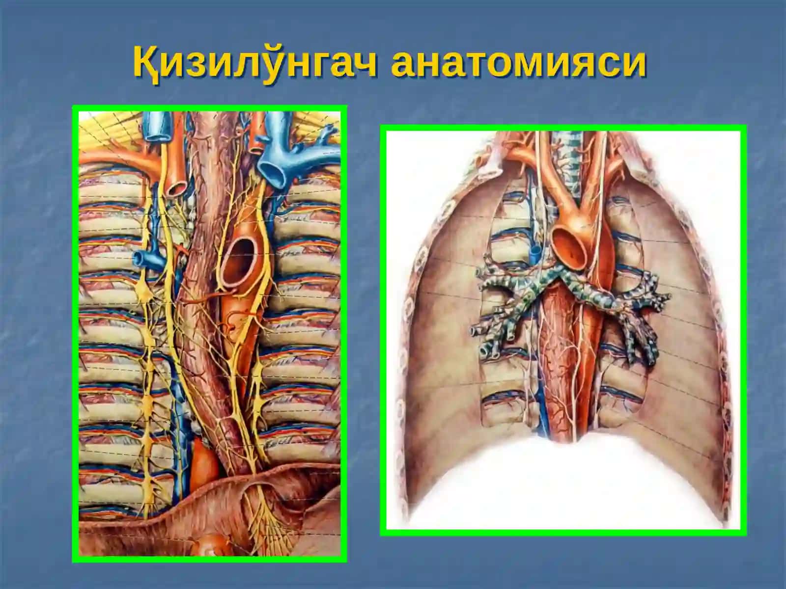 Қизилўнгач касалликлари 3