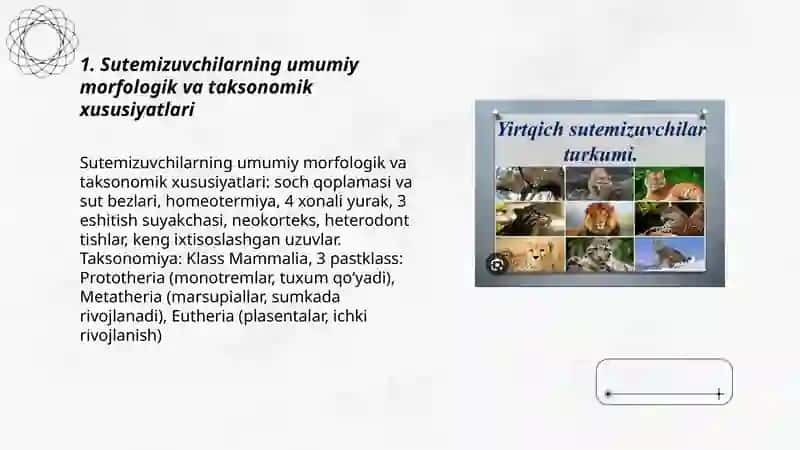 Sutemizuvchilarning ekologiyasi, kelib chiqishi va evolyutsiyasi 3