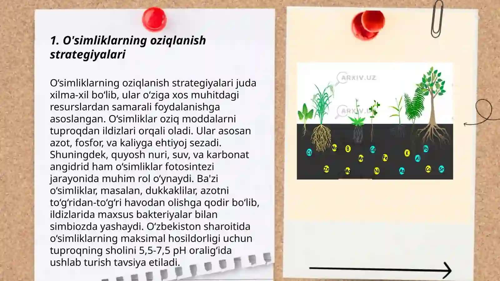 O'simliklarning geterotrof oziqlanishi makroelementlarning o'simliklarga tasiri 3