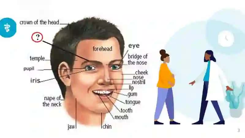 Parts of the body 3