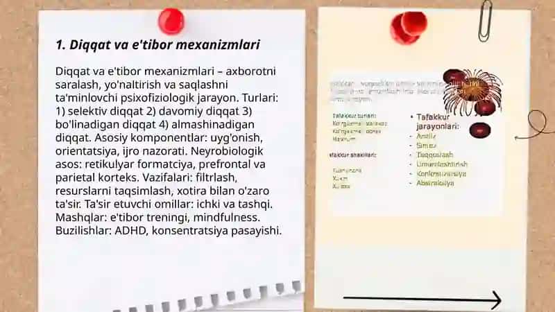 Diqqat va e'tibor mexanizmlari 3