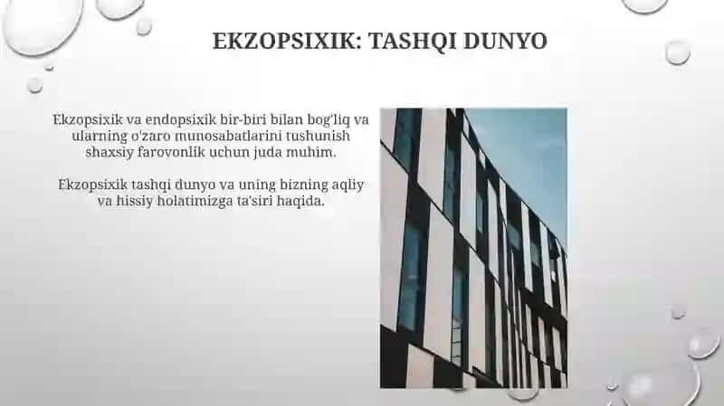 Endopsixika enzopsixika 3