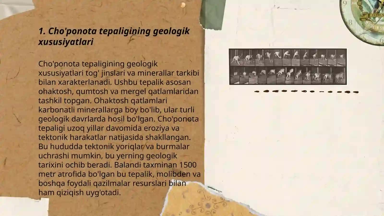 Cho'ponota tepaligini beogeografik xususiyatlari bilan tanishish 3