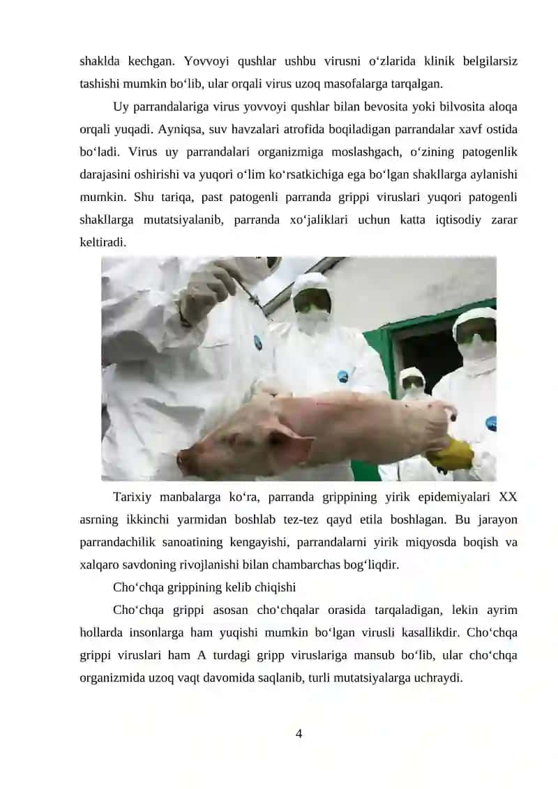 PARRANDA VA CHO‘CHQA GRIPPI VA UNING HOZIRGI KUNDAGI MUAMMOLARI 3