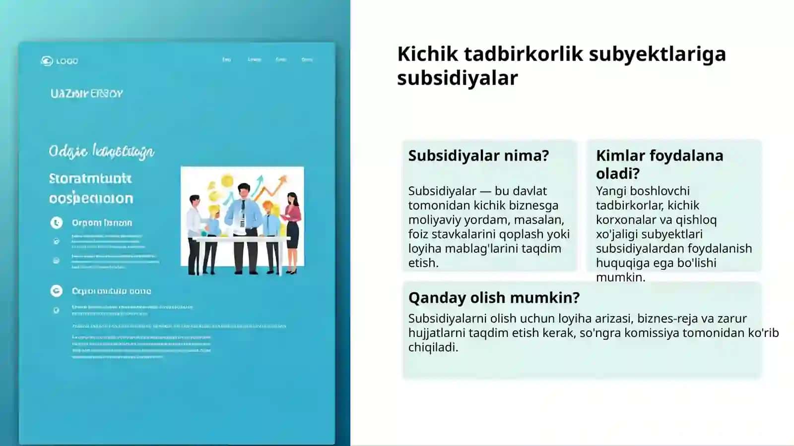Kichik biznesni davlat qo'llab-quvvatlash 3