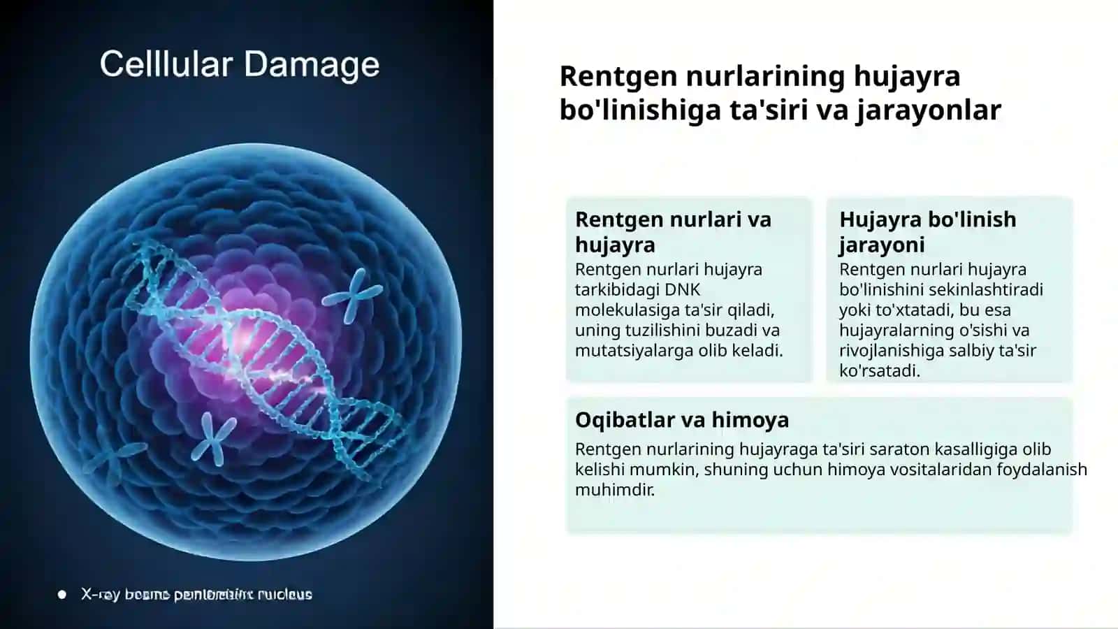 Rentgen nurlari va biologik tizimlar 3