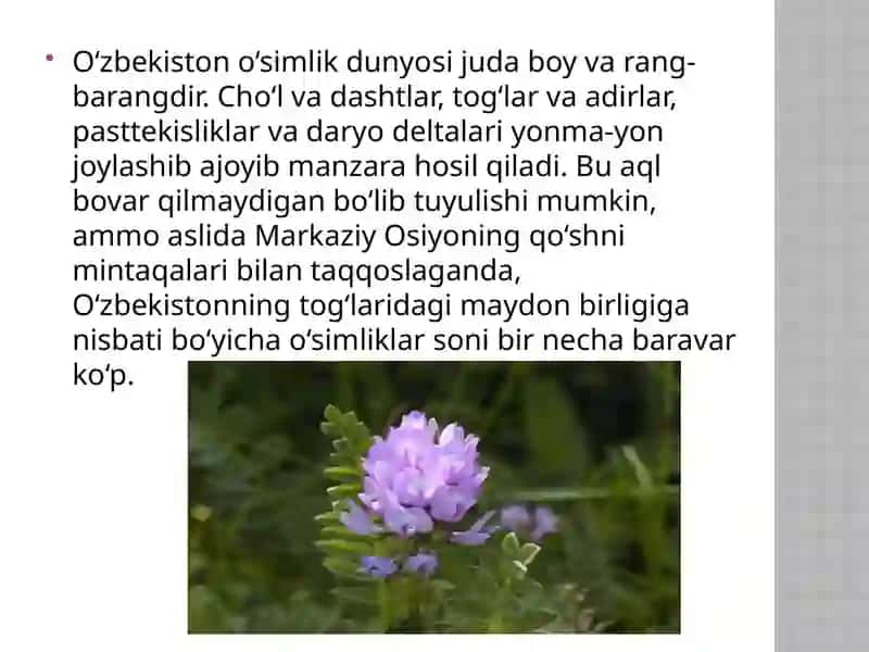 Foydali o’simliklar 3